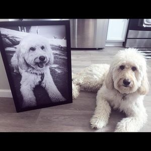 Meet your Posher, Belinda